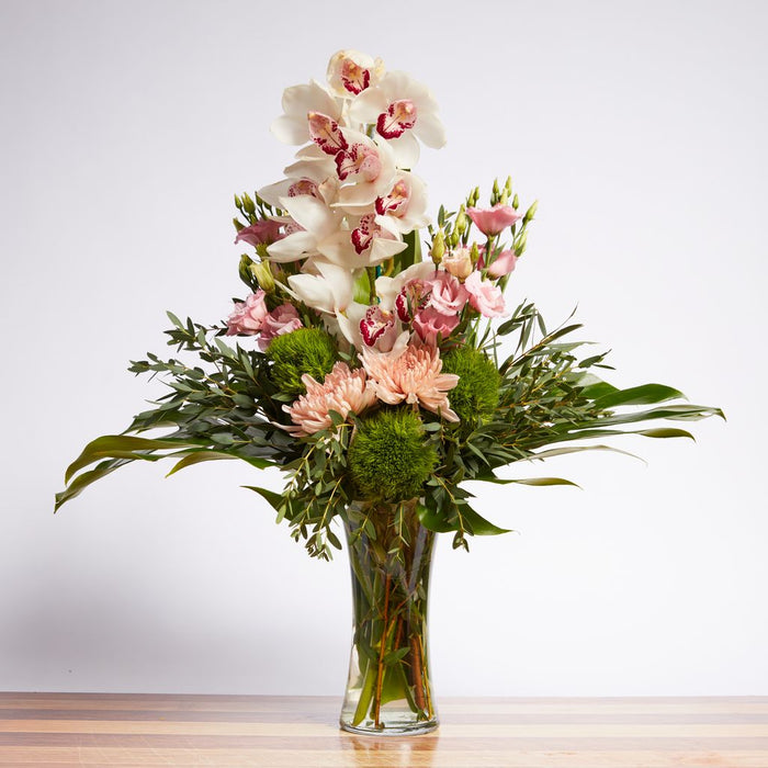 Orchid Muse