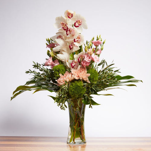 Orchid Muse