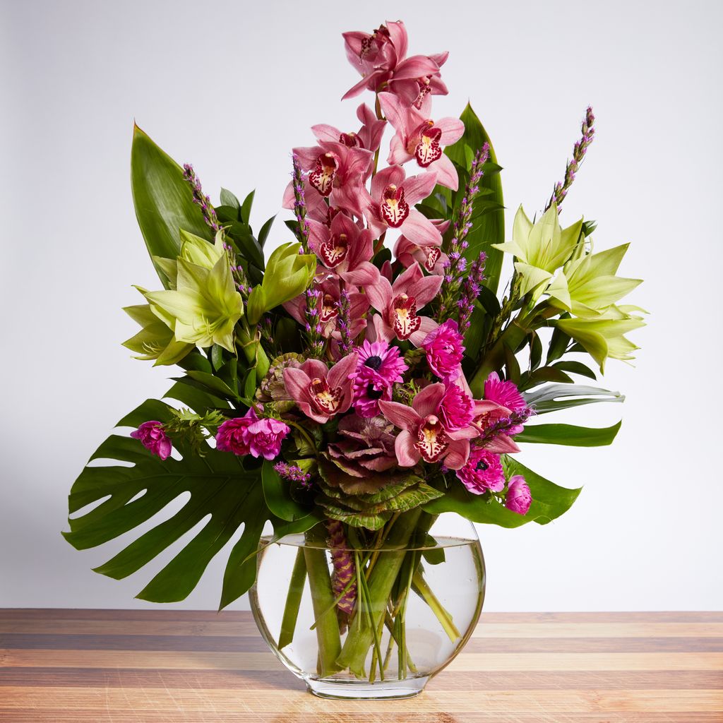 Orchid Grande