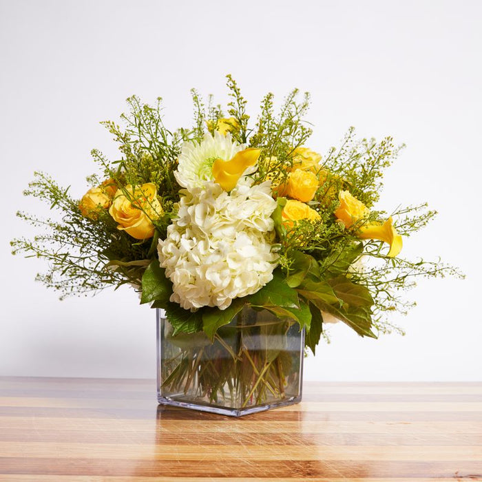 Light & Airy
